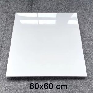 PISO CERAMICA 6H01 60x60CM 8.3mm